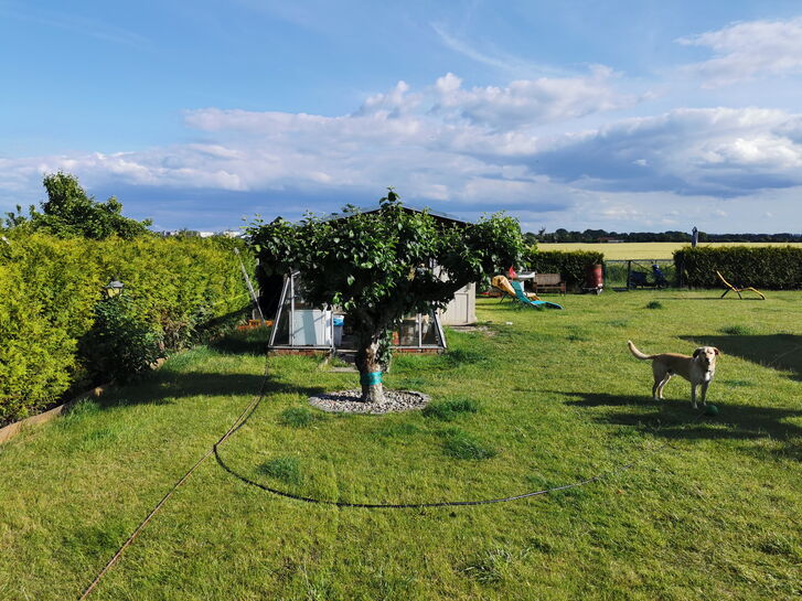 Bungalow mit Terasse 4 Pers.
